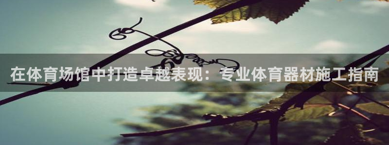 耀世娱乐在线登录官网入口网址：在体育场馆中打造卓越表