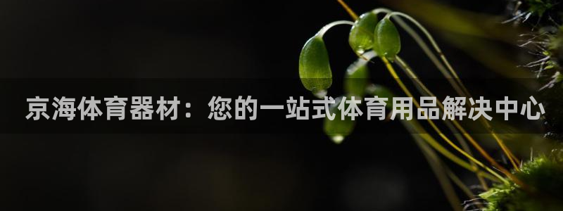 耀世挑战第三关怎么打： 京海体育器材：您的一站式体育用品解决