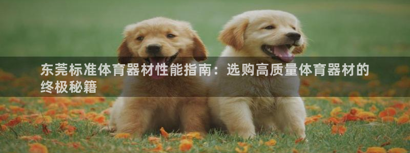 耀世集团董事长个人简历