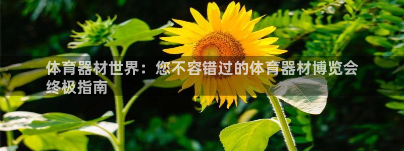 耀世平台心 58534I 耀世：体育器材世界：您不容