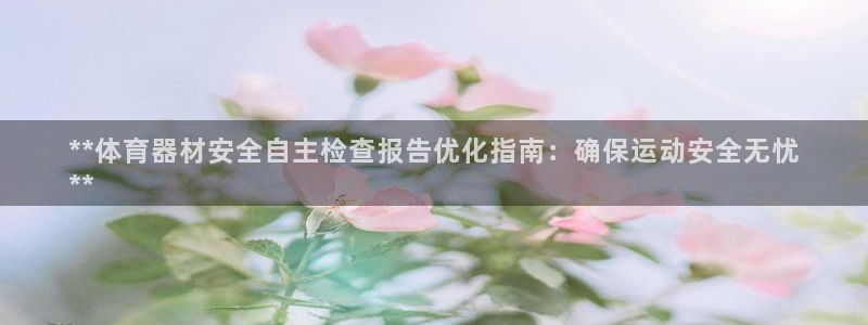 耀世天下的图片唯美：**体育器材安全自主检查报告优化指南：确