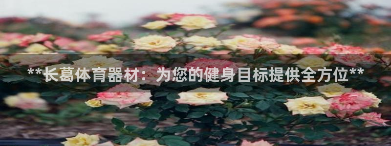 耀世平台代理怎么样可靠吗：**长葛体育器材：为您的健