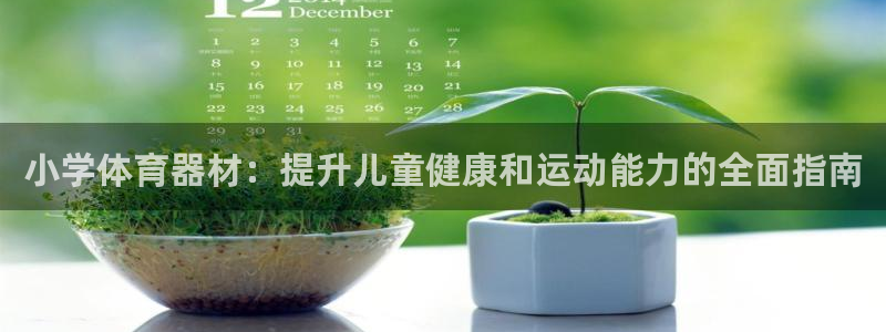 耀世而生：小学体育器材：提升儿童健康和运动能力的全面