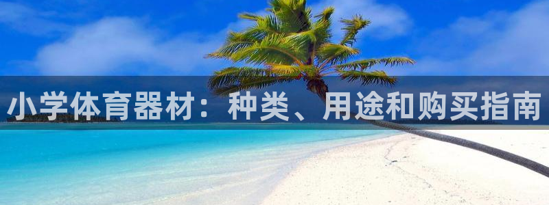 耀世娱乐平台官网登录入口手机版：小学体育器材：种类、
