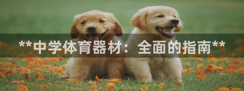 耀世娱乐的494o3 主管：**中学体育器材：全面的指南**