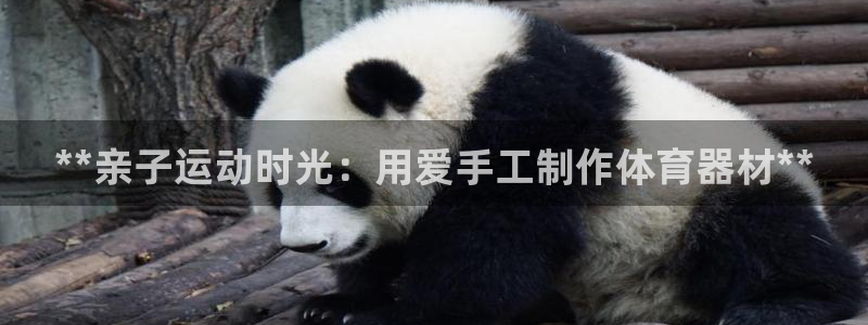 耀世盛典手游下载：**亲子运动时光：用爱手工制作体育