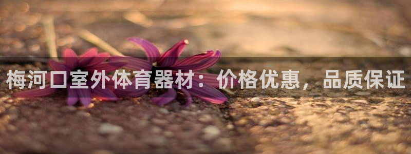 耀世平台合作 585341：梅河口室外体育器材：价格