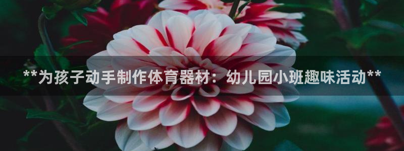 耀世集团商业联盟官网：**为孩子动手制作体育器材：幼