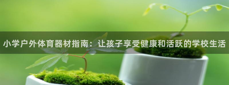 耀世娱乐网址是什么：小学户外体育器材指南：让孩子享受