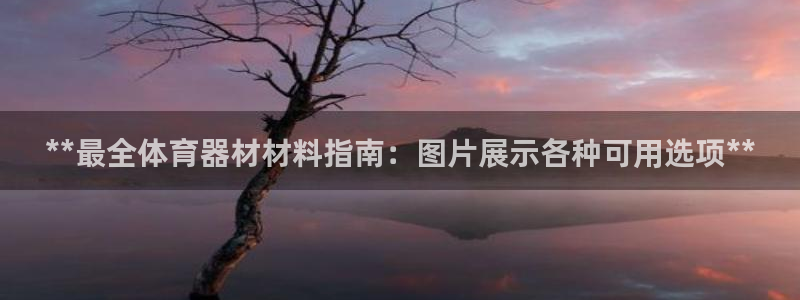 耀世平台代理怎么做的：**最全体育器材材料指南：图片