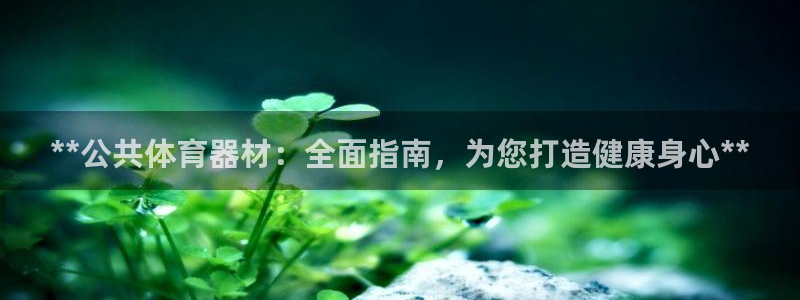 耀世平台网站：**公共体育器材：全面指南，为您打造健