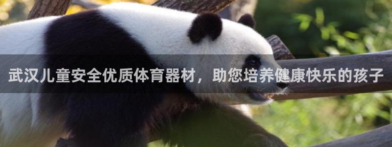 耀世平台易 411031 耀世：武汉儿童安全优质体育