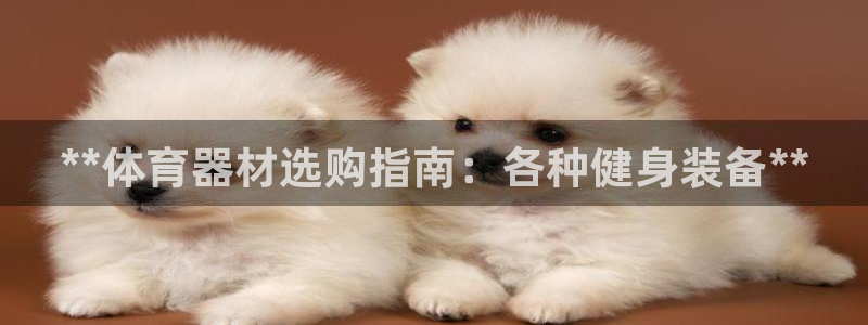 耀世平台告7O777：**体育器材选购指南：各种健身