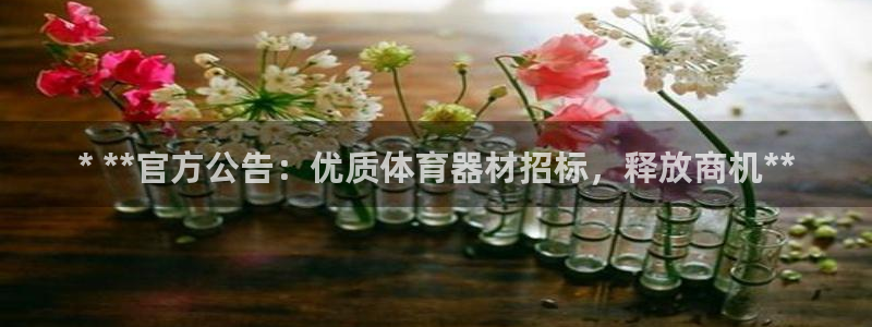 耀世集团四个字的图片：* **官方公告：优质体育器材