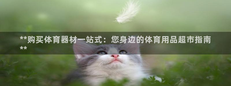 耀世娱乐脚本下载官网：**购买体育器材一站式：您身边