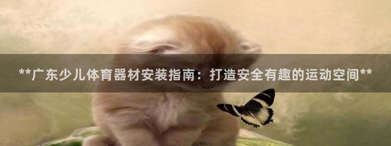耀世团长：**广东少儿体育器材安装指南：打造安全有趣
