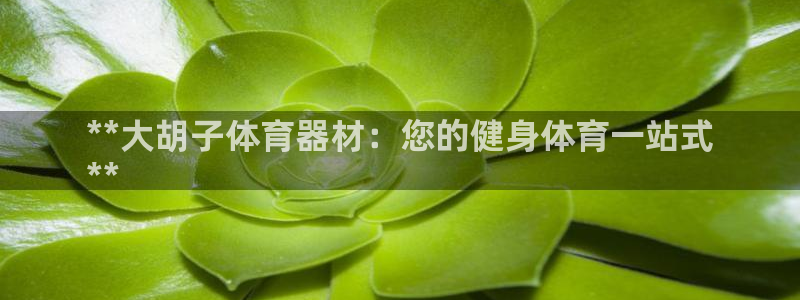 耀世娱乐联 585341：**大胡子体育器材：您的健