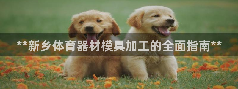 耀世平台有很多登录地址怎么回事：**新乡体育器材模具加工的全