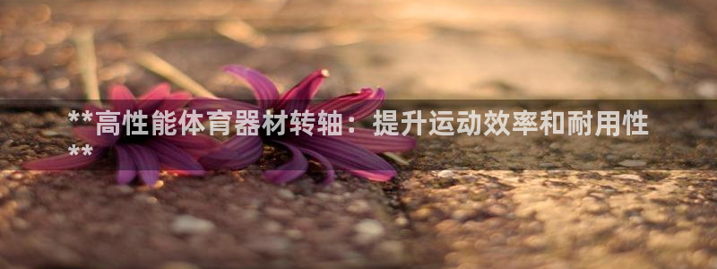 耀世娱乐平台官网登录不了怎么回事：**高性能体育器材转轴：提