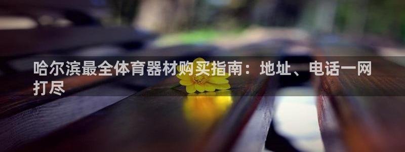 耀世娱乐中国创新：哈尔滨最全体育器材购买指南：地址、电话一网