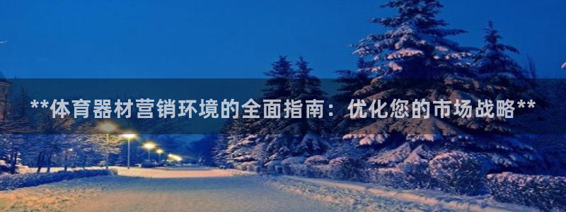 耀世平台代理怎么样可靠吗：**体育器材营销环境的全面