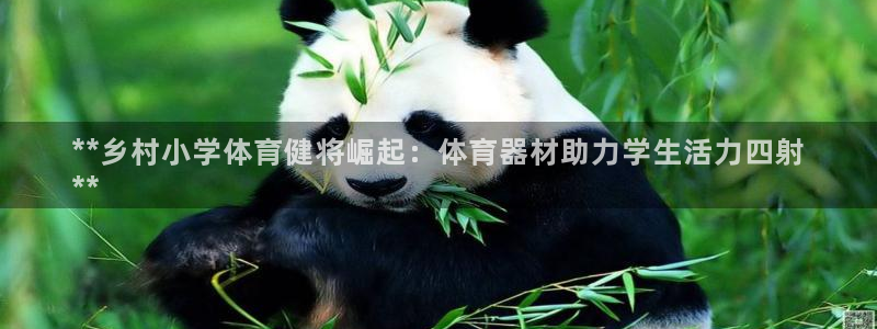 耀世娱乐官网首页登录：**乡村小学体育健将崛起：体育器材助力