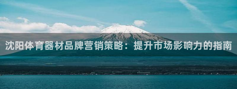 耀世第二关：沈阳体育器材品牌营销策略：提升市场影响力的指南