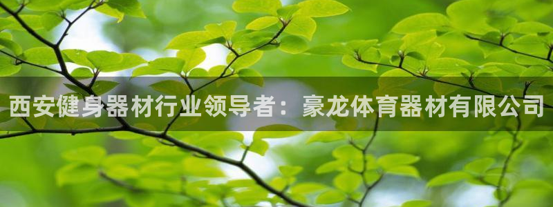 耀世娱乐是不是很黑呀：西安健身器材行业领导者：豪龙体