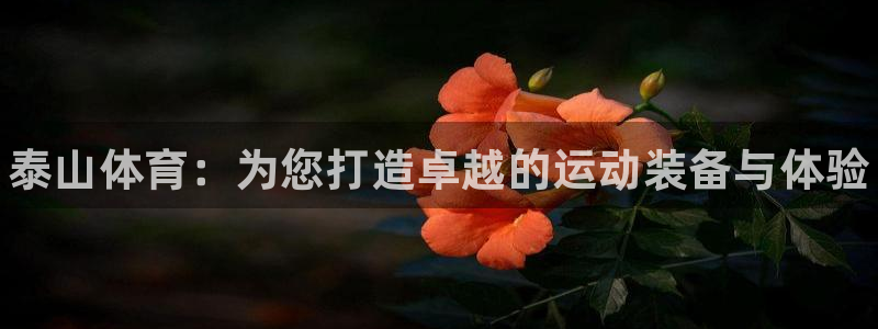 耀世而来是什么意思