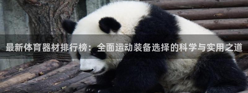 耀世集团视频介绍下载：最新体育器材排行榜：全面运动装备选择的