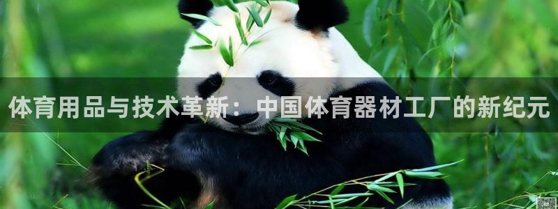 耀世而来：体育用品与技术革新：中国体育器材工厂的新纪