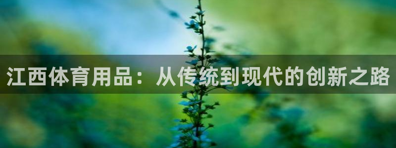 耀世是什么游戏：江西体育用品：从传统到现代的创新之路