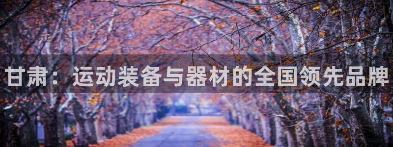 耀世娱乐注册：甘肃：运动装备与器材的全国领先品牌