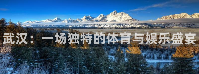 耀世娱乐能不能提现到微信：武汉：一场独特的体育与娱乐